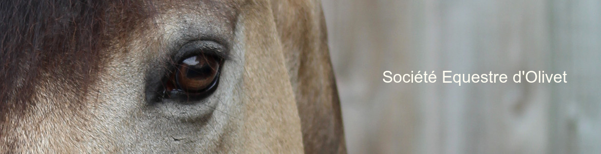 Société Equestre d'Olivet